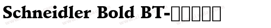 Schneidler Bold BT字体转换